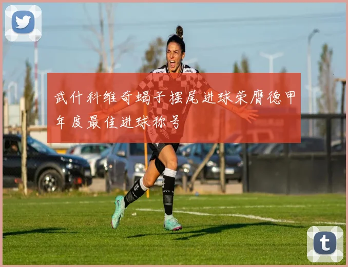 武什科维奇蝎子摆尾进球荣膺德甲年度最佳进球称号